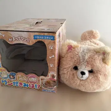 원더 너는!? PINOCCHIO