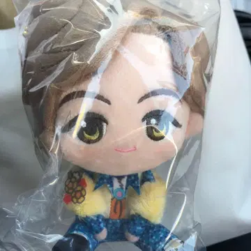 미세스 제일복권 A상 봉제 인형 마스코트 후지사와 료카