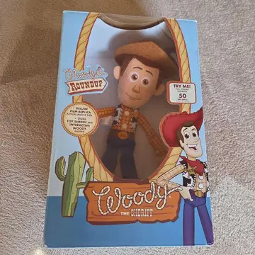 라운드원 한정판 토이스토리 박스형 봉제 인형 우디