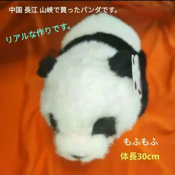 팬더 봉제 인형 30cm (무료배송)