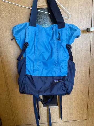 파타고니아 라이트웨이트 트래블 토트팩 블루