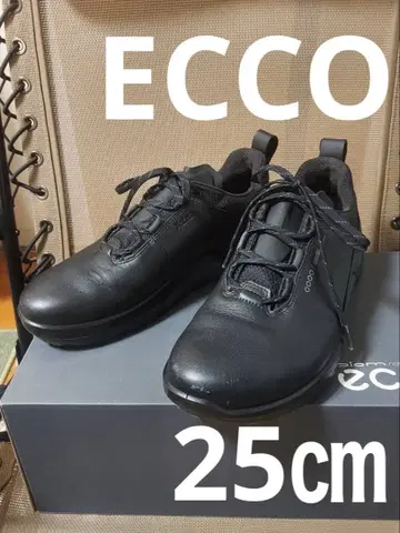 ECCO 골프화 블랙 40