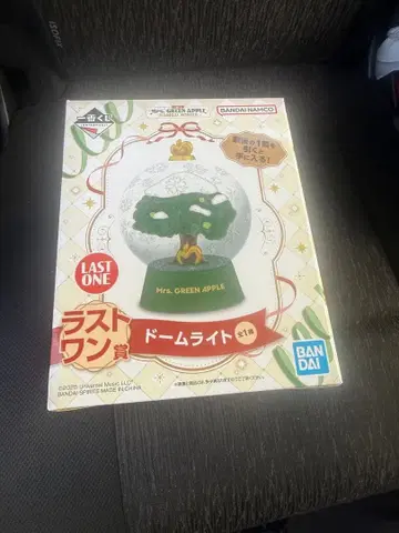 Mrs. GREEN APPLE 1번 복권 라스트 원 돔 라이트