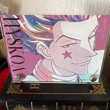 HUNTER x HUNTER 히소카 아트 보드