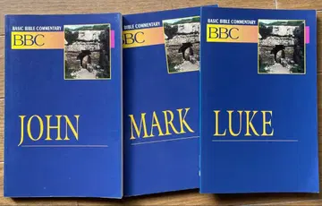 Basic Bible Commentary 3권 세트