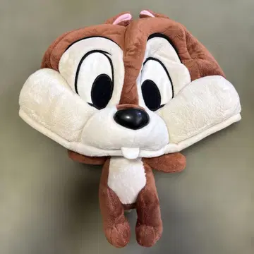 칩 캡 58cm TDL TDS 팬캡