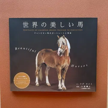 [ 세계의 아름다운 말 ] 챔피언 말의 포트레이트와 특징
