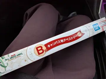 제일복권 Mrs. GREEN APPLE B상