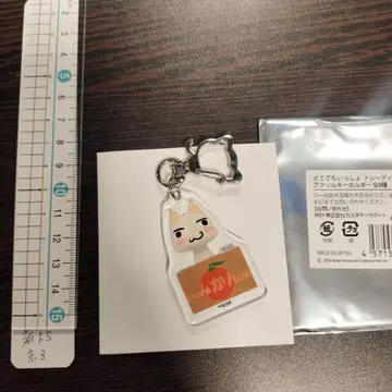 귤 캐릭터 아크릴 키링 도코데모 잇쇼