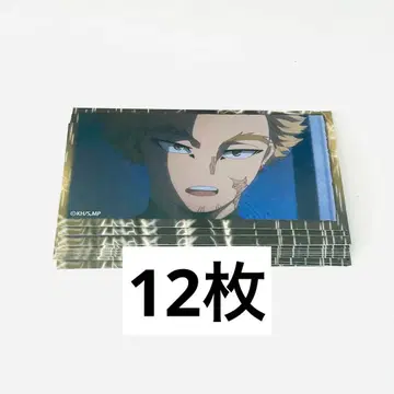 나의 히어로 아카데미아 캐릭터껌 컬렉션 스티커 호크스 타카미 케이고