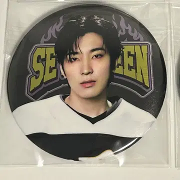 SEVENTEEN 세부치 HOME 25 캔뱃지 원우