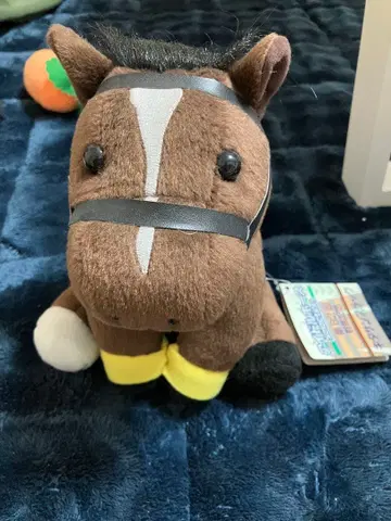 아이돌 호스 제62회 아리마 기념 키타산 블랙 M