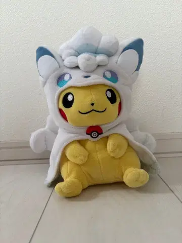 피카츄 알로라 큐콘 코스튬 봉제 인형