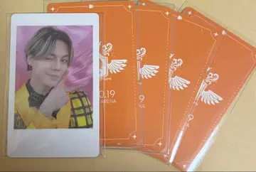 하피카 요코아리 DDP 토미타케