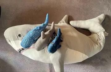 상어 봉제 인형 빅 쿠션 4종 세트 [16일까지]