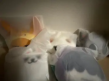 팬춘 밤굿 다고냥 흠냐린 페이스 쿠션