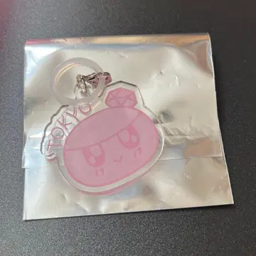 SEVENTEEN NEW 다트 봉봉이 아크릴 키링