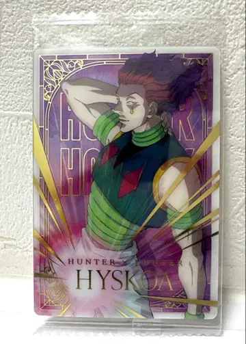 HUNTER x HUNTER 이타자가 히소카 sp