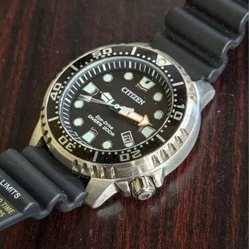 시티즌 E168 프로 마스터 다이버 워치