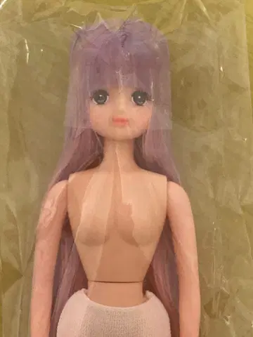 즐거운 인형 미호짱 리카짱 캐슬 프렌드