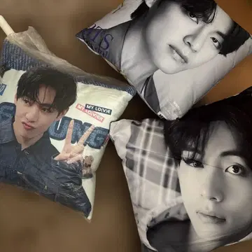 BTS 태현 쿠션 쿠션 커버