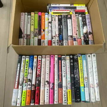 사랑스러운 미래에 검은 검을, 형제 오류, 외