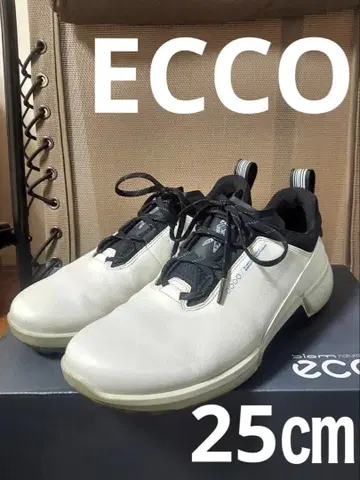 ECCO 골프화 화이트 40 사이즈