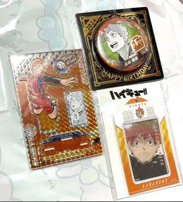 하이큐!! 히나타 쇼요 배지 세트 2024