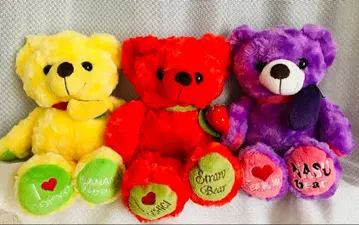 지역 한정 베어 3체 세트