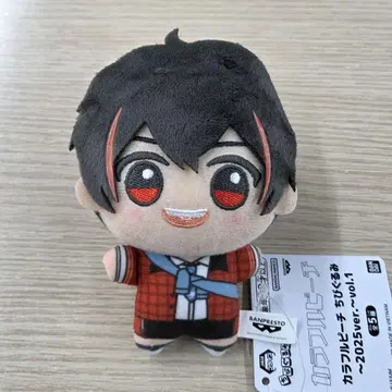 컬러풀 피치 SD 인형 ~2025ver.~ 유안군