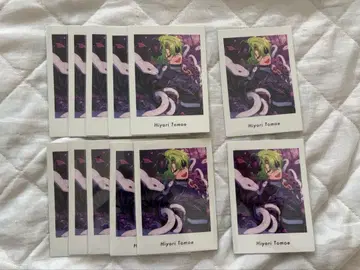 앙스타 파샤츳 vol.6 action 히요리 12장 세트