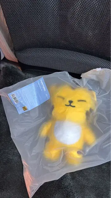 MINITEEN 호시 봉제 인형 탐탐 미니틴