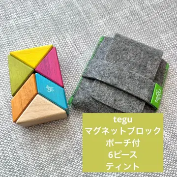 tegu 마그넷 블록 파우치 포함 6 피스 프리즘 틴트