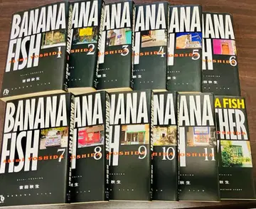 BANANAFISH 바나나피쉬 전권 + 애나더 스토리 문고판