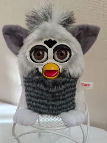 퍼비 (라쿤) 일본어판