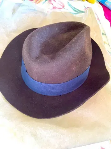 브라운과 네이비 펠트 햇