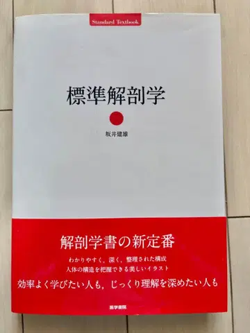 표준 해부학 오비 포함