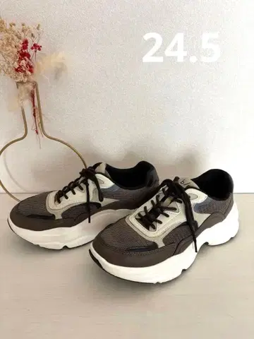 b/m 문스타 스니커즈 브라운/아이보리