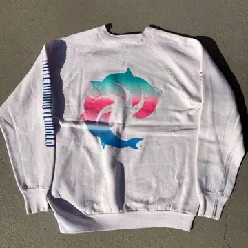 80s 프룻 오브 더 룸 LIMU LITTLER 컬러풀 돌고래 맨투맨