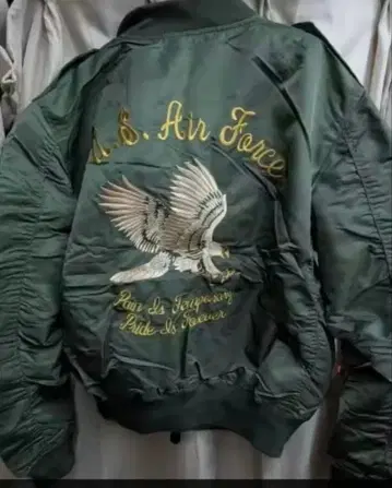 L-2B 플라이트 자켓 이글 탑건 스카잔 바이크