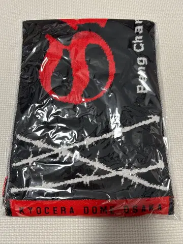 스트레이 키즈 dominATE 오사카 머플러 타월