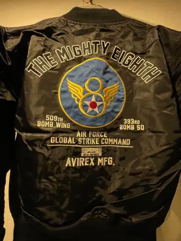 AVIREX B-2 Spirit 플라이트 자켓