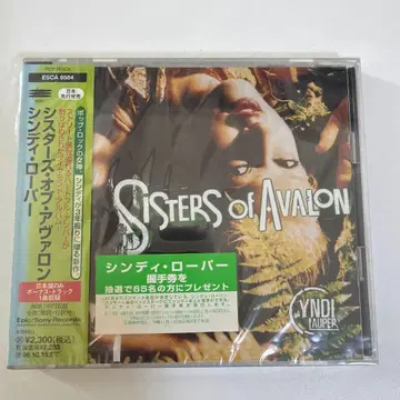 Cyndi Lauper Sisters of Avalon