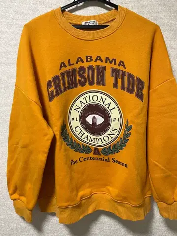 sinsangmarket 속기모 맨투맨