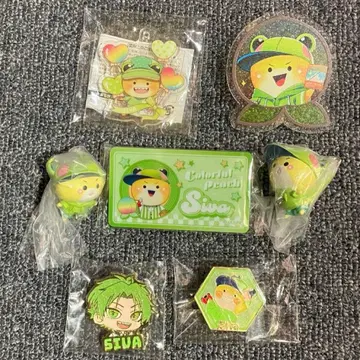 컬러풀 피치 시바님 세트 5