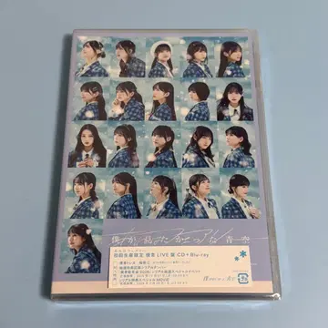 저것은 페어리 파랑 LIVE반