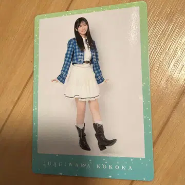 보쿠가 미타캇타 아오조라 하기와라 코하네 트레이딩 카드