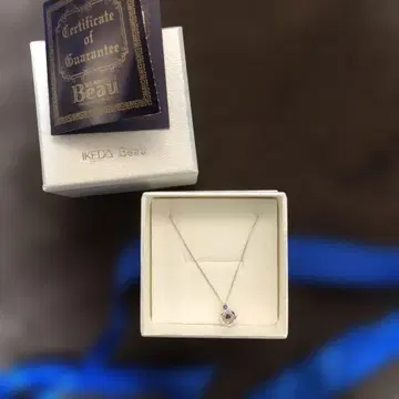 IKEDA 자수정 목걸이