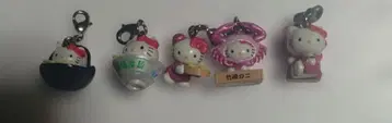 17 지역 한정 키티 5종 세트 키링