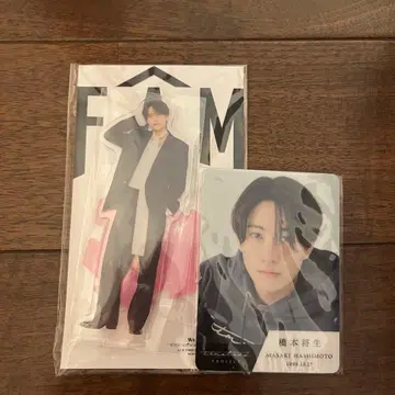 timelesz 하시모토 쇼세이 타입 트레이딩 카드 아크릴 스탠드